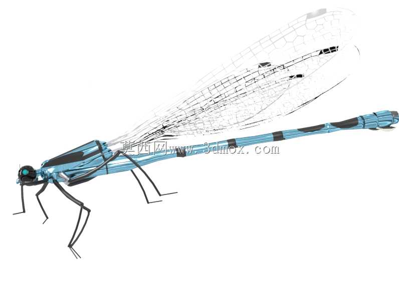 ��PARTsolutions�д�����Damseifly