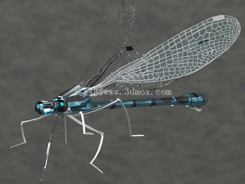 ��PARTsolutions�д�����Damseifly