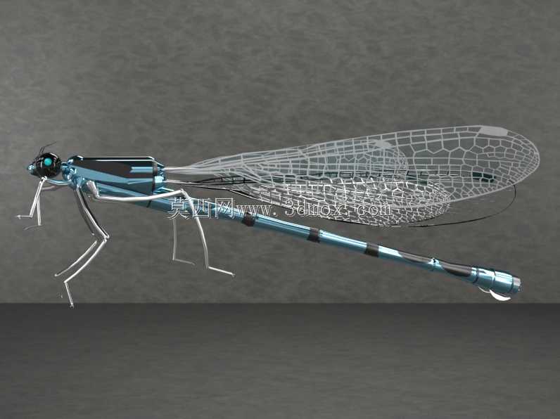 ��PARTsolutions�д�����Damseifly