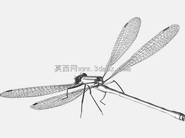 ��PARTsolutions�д�����Damseifly