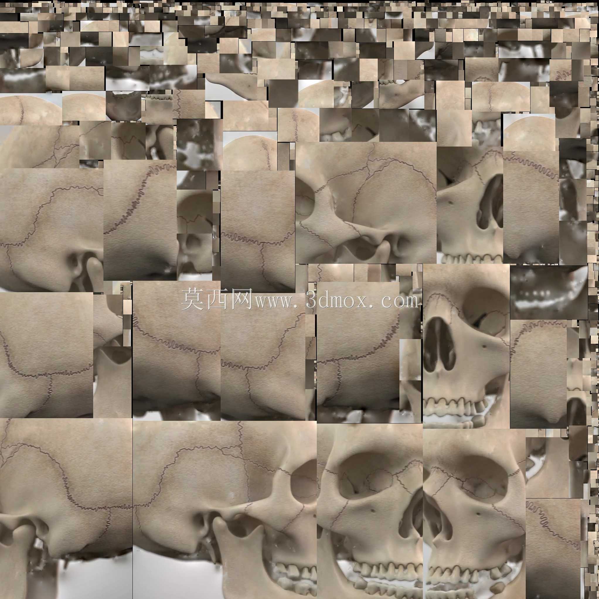 ͷ�ǵ���άɨ��