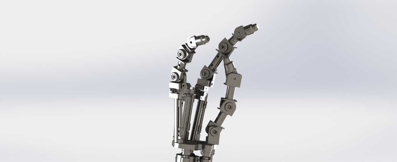 T 800��