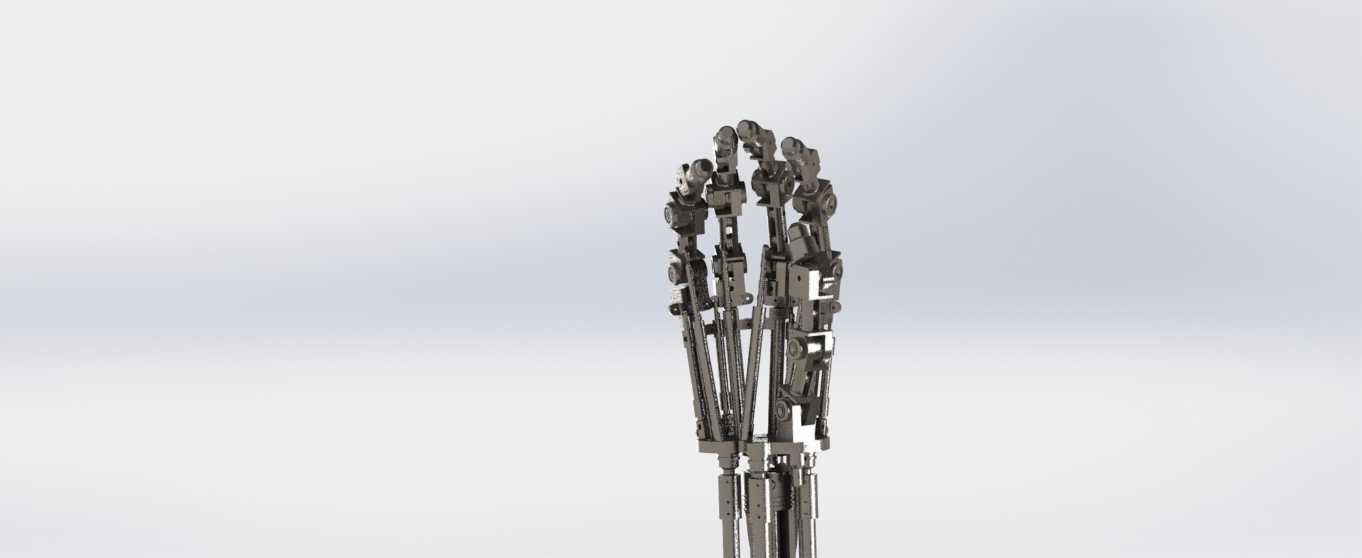 T 800��