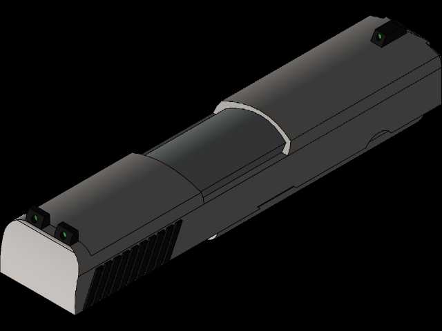 �ź�Sauer P250