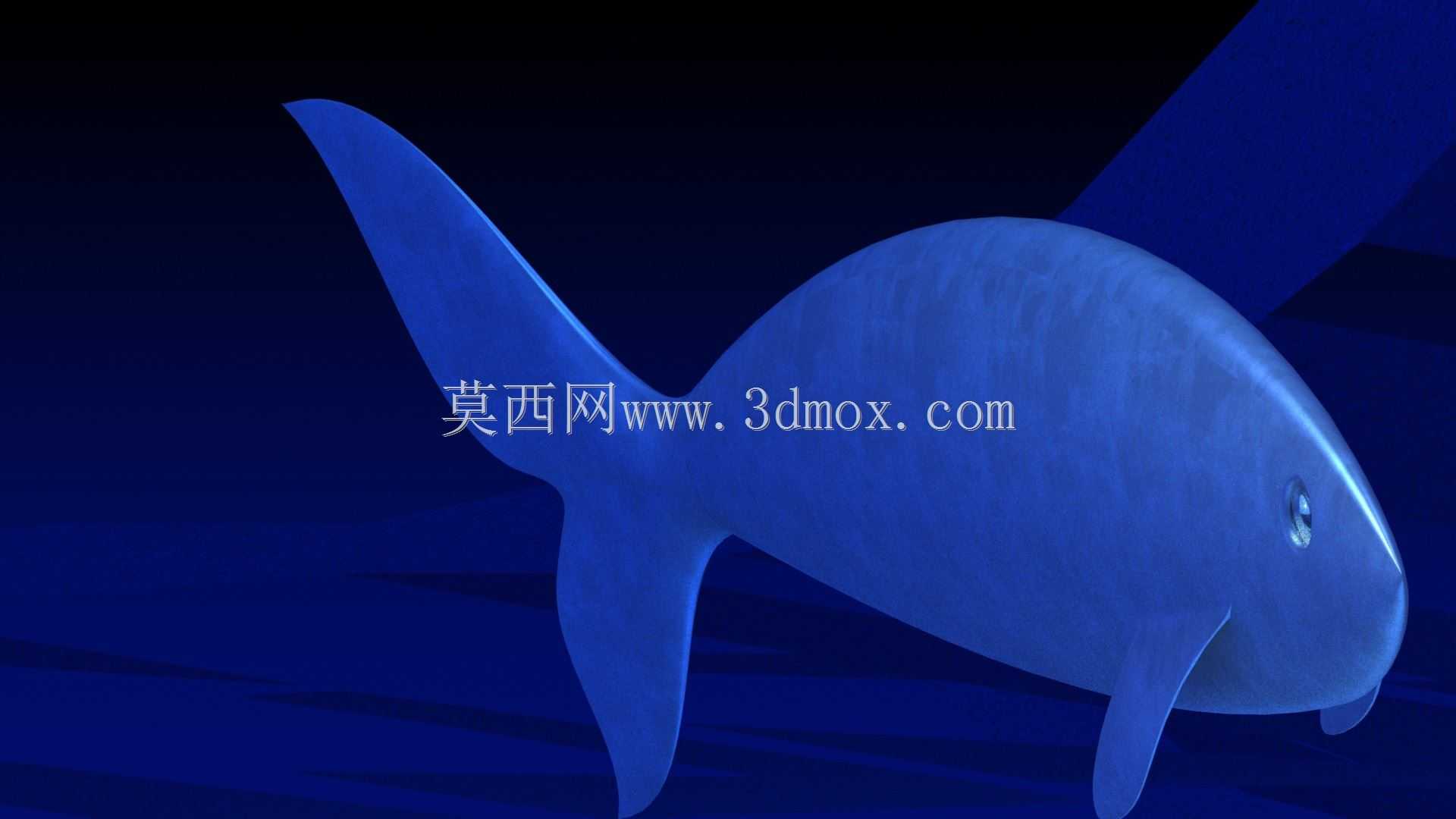 �����¥