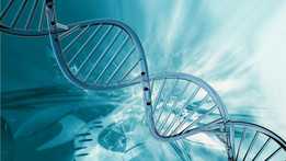 DNA-�漣����