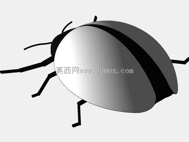 金龟子
