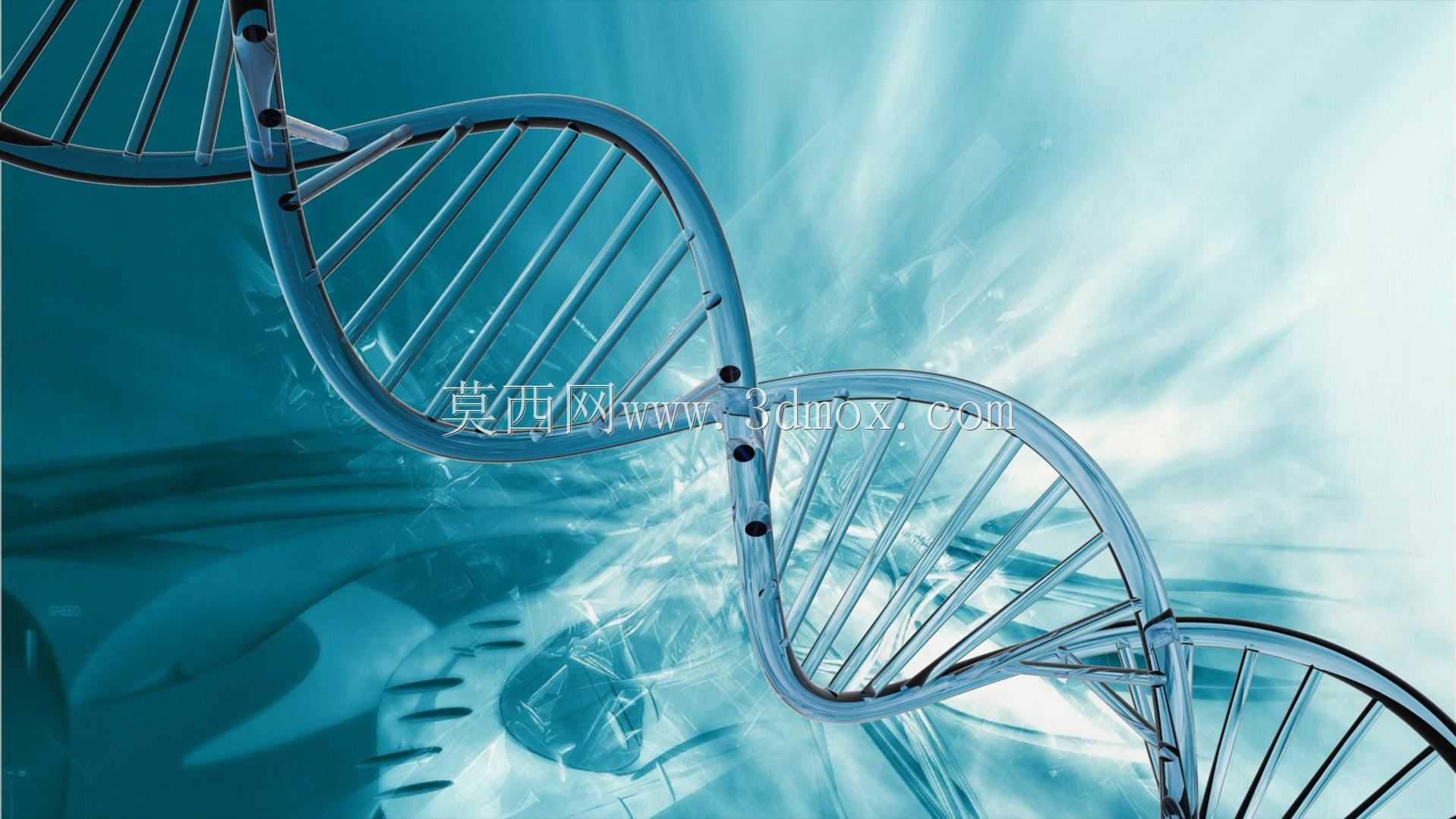 DNA-�漣����