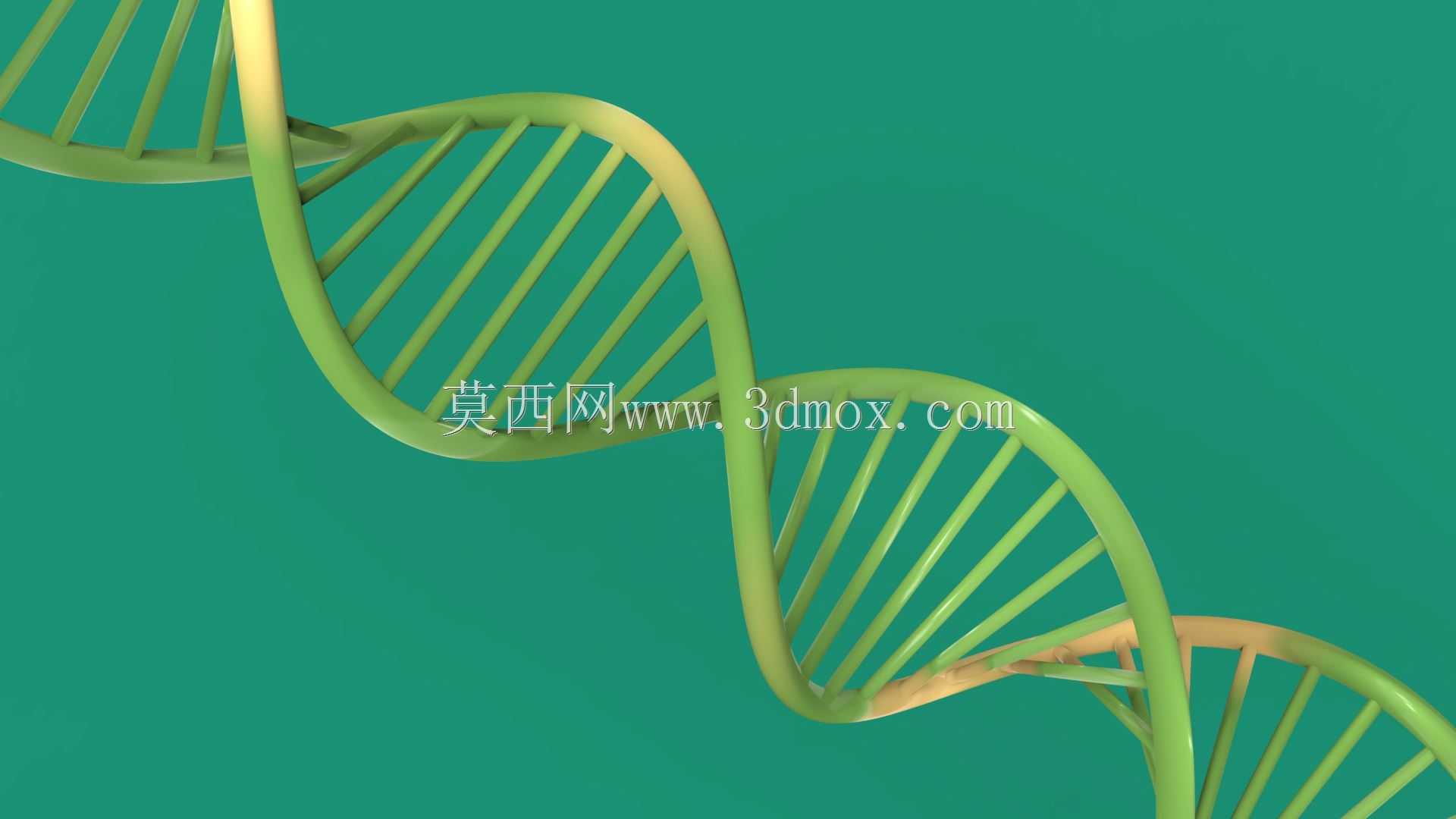 DNA-�漣����