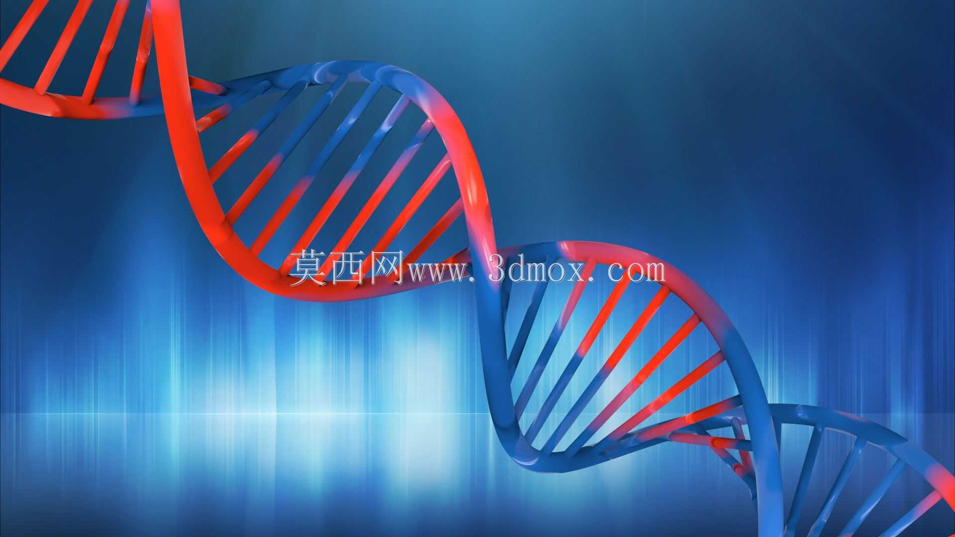 DNA-�漣����