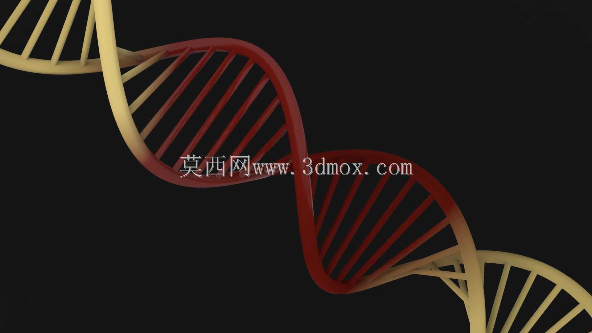 DNA-�漣����