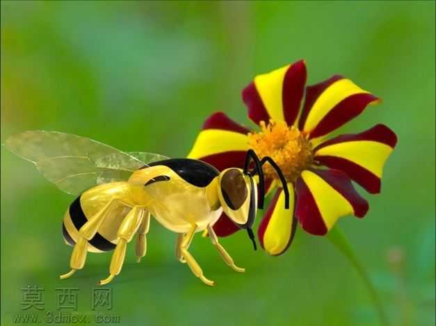 bee