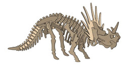 Styracaurus�����и�