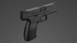 CZ P-10C��ǹ