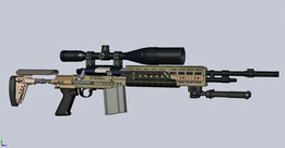 M14 EBR VSRԭ��