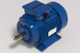 GAMAK Motors STP��31�ͺţ�