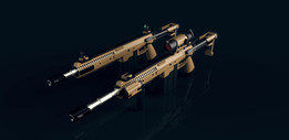 .50�Զ���ǹ����