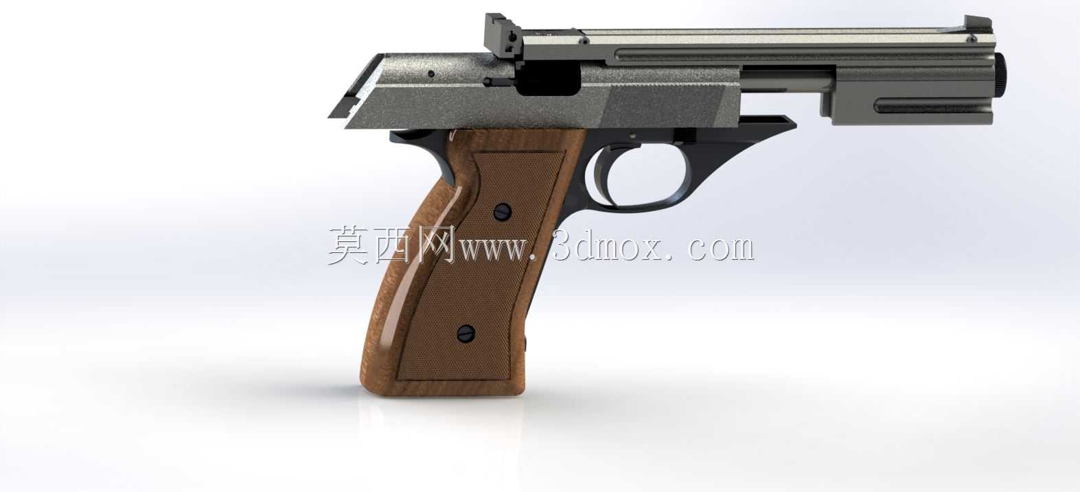 ��˹������������TS-22��ǹ��������22LR��1987�꣩