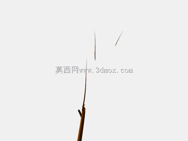 树