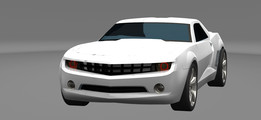 ѩ����������2010 Rs