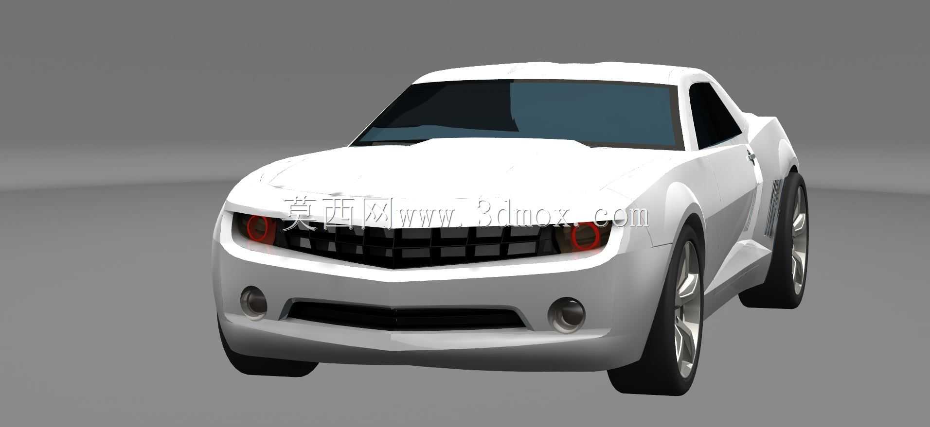 ѩ����������2010 Rs