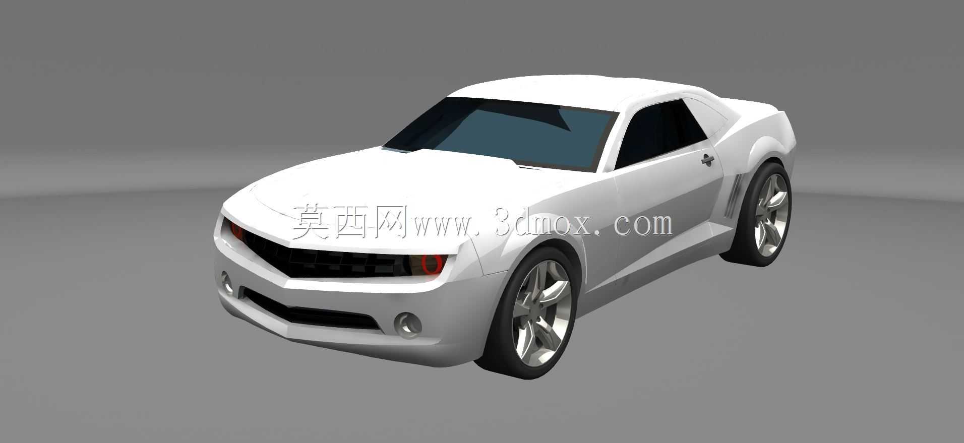 ѩ����������2010 Rs