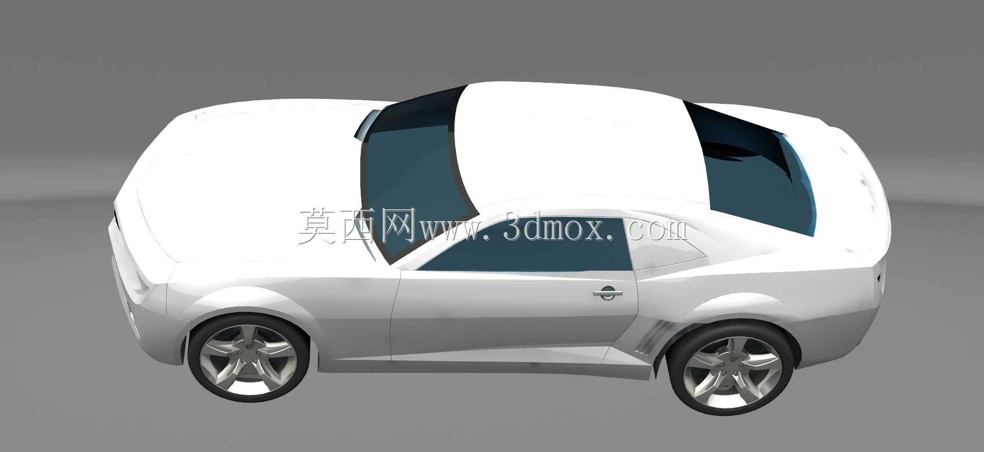 ѩ����������2010 Rs