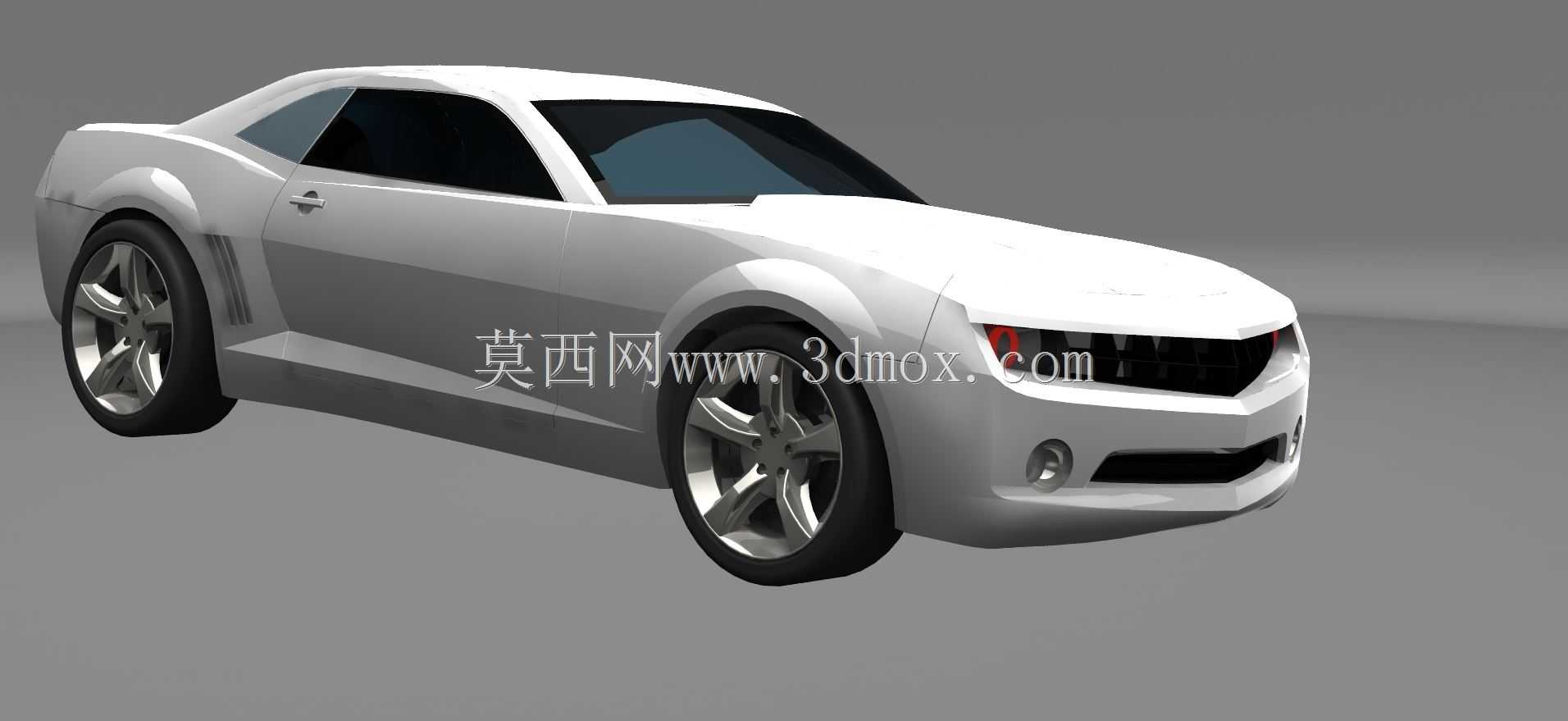 ѩ����������2010 Rs
