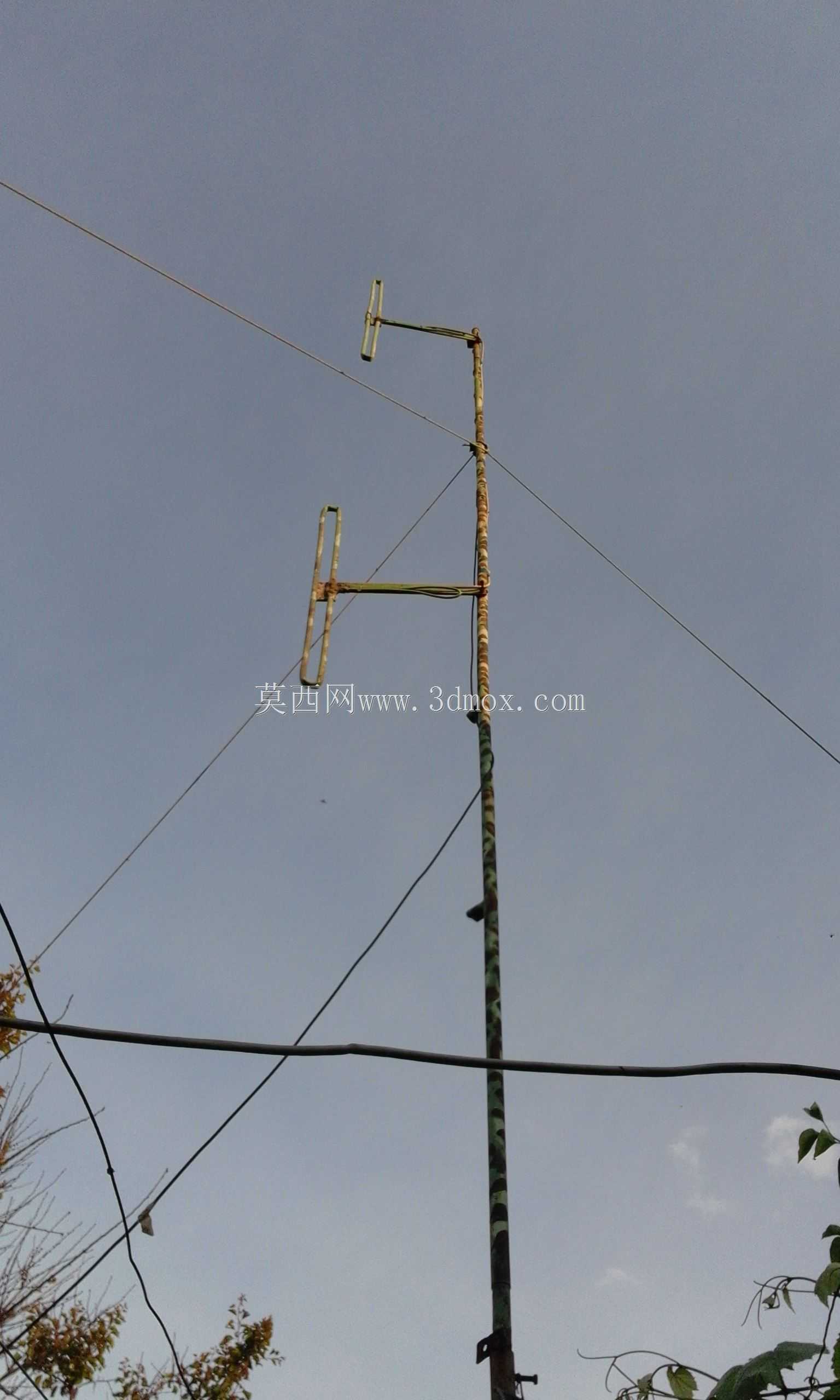 2�۵�ż����144 MHz