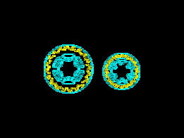 ���װµ�˹�ƾƵ�