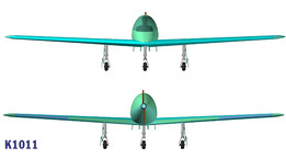 K1011����