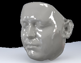 我的脸模型(文件;扫描、Sldprt、Xrl、Xtl)