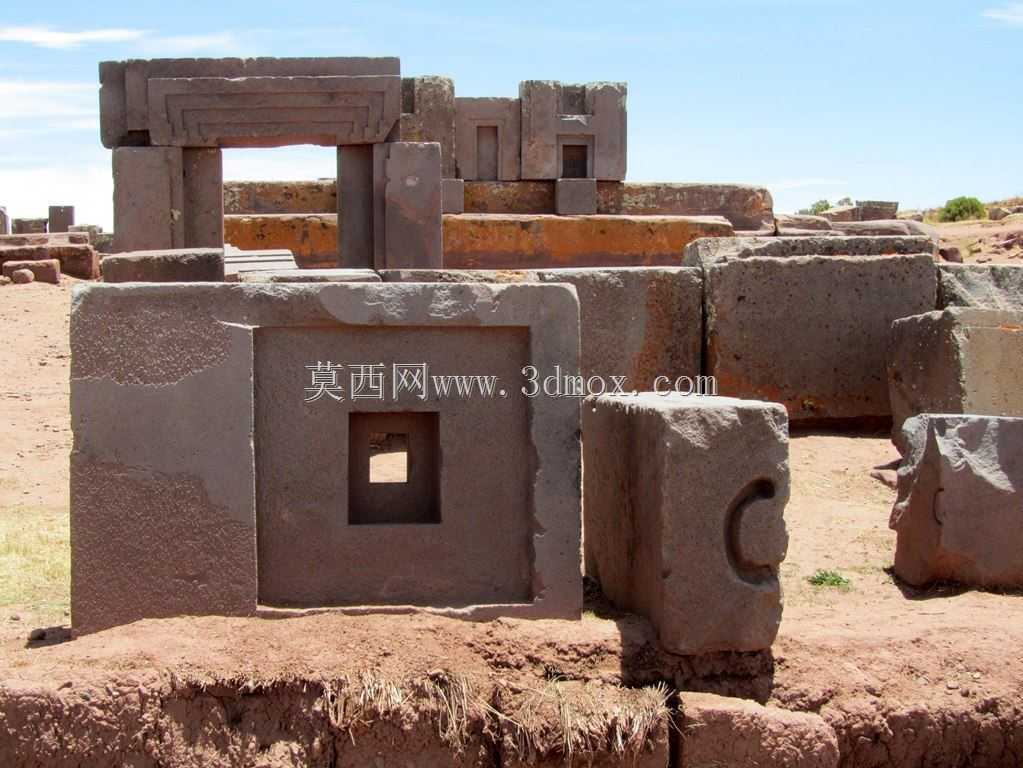 美洲狮朋库