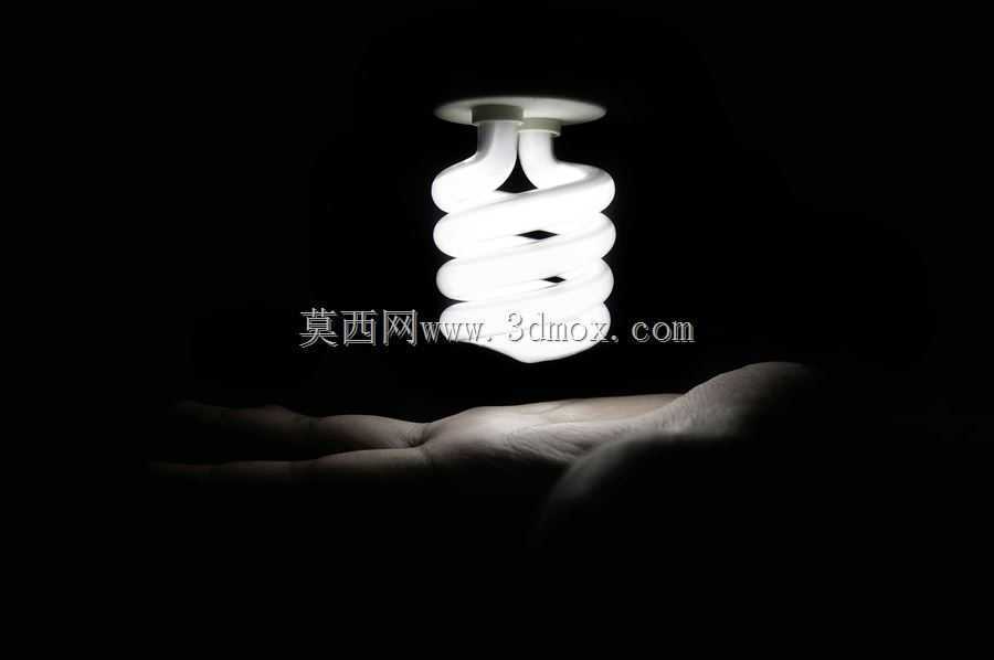 ӫ�����