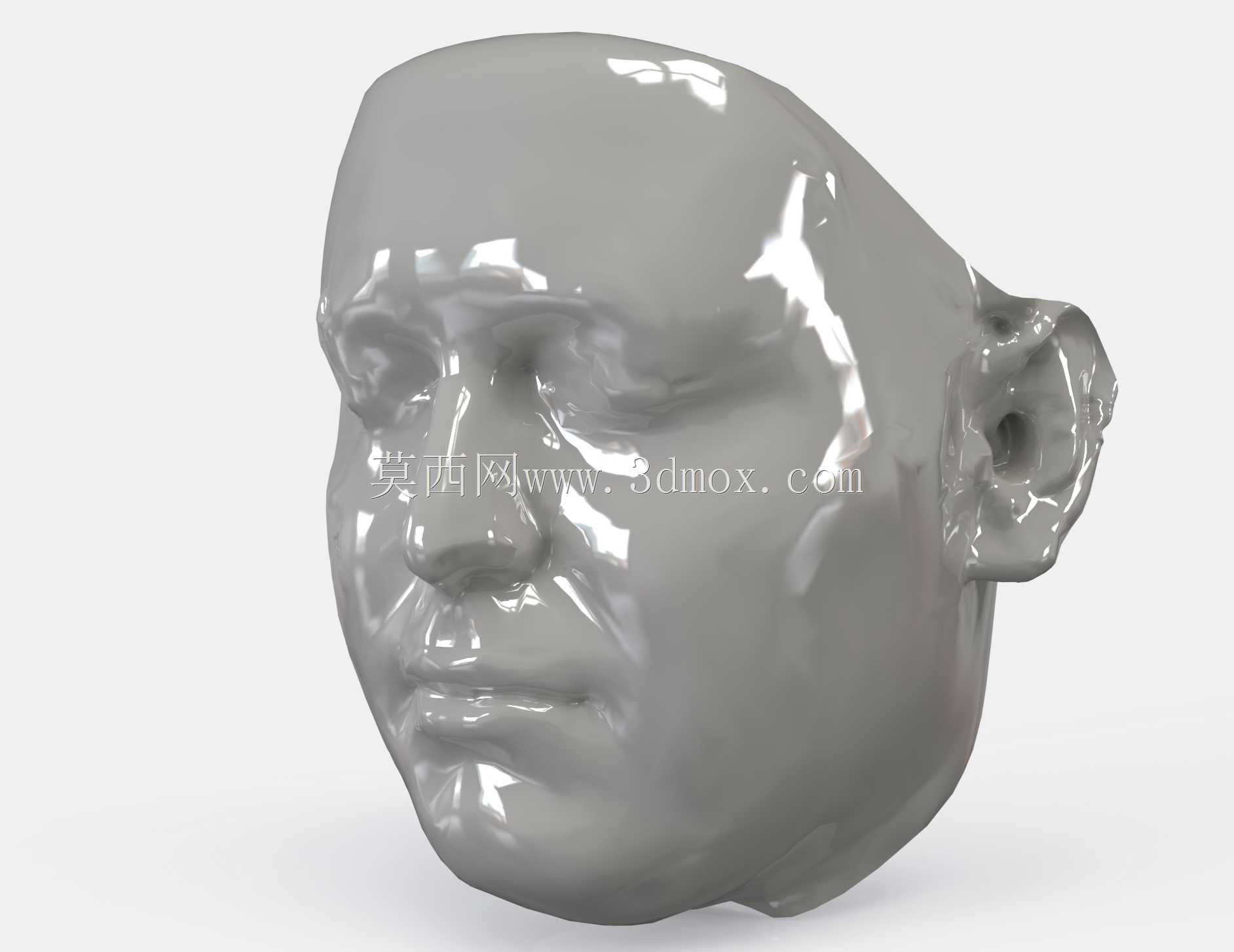 我的脸模型(文件;扫描、Sldprt、Xrl、Xtl)