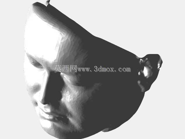 我的脸模型(文件;扫描、Sldprt、Xrl、Xtl)