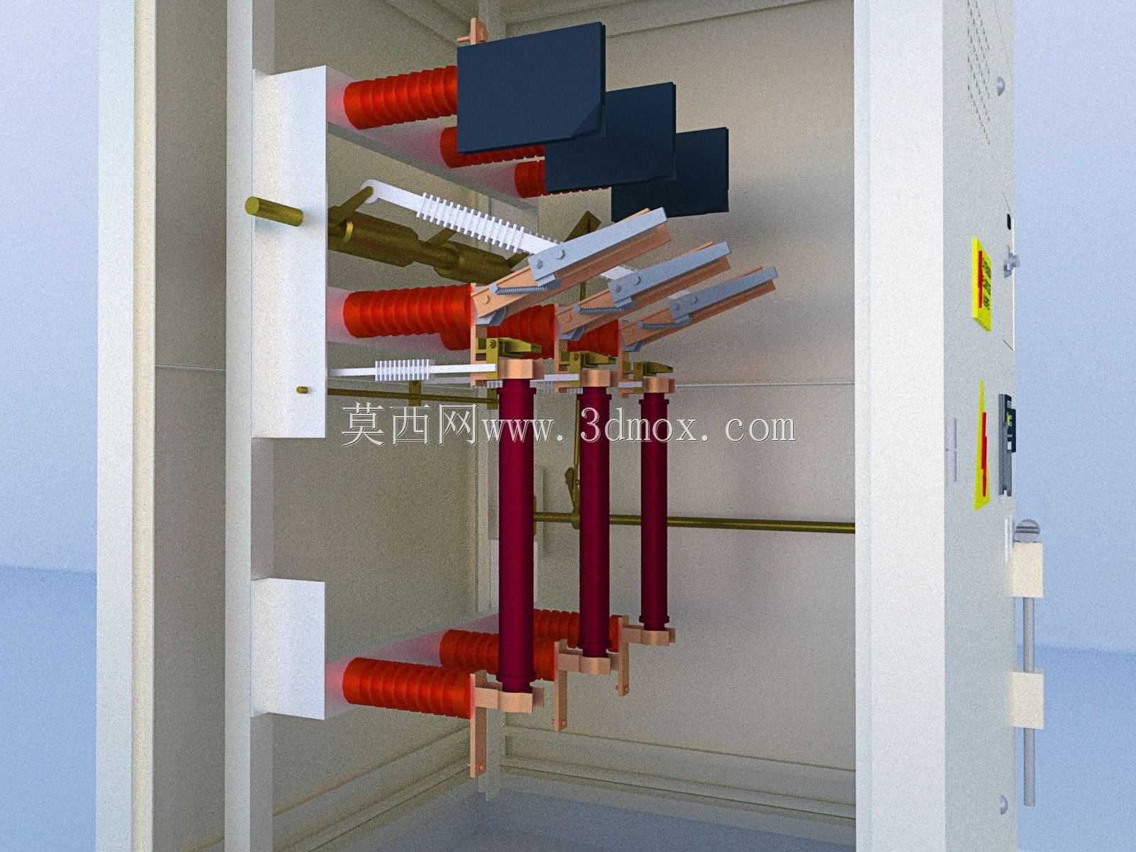 塞尔达·塞西奥纳多