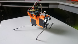Arduino虫