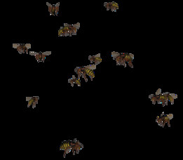 �Ʒ�