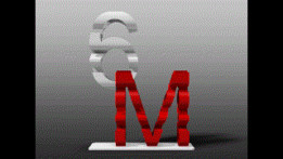  6M
