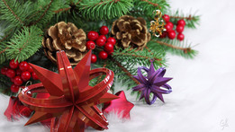 SGMSCʥ����2014 1A