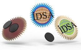 IDSA����