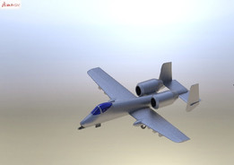 A-10����II