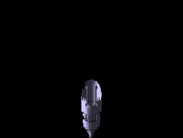 ����Ī˹����