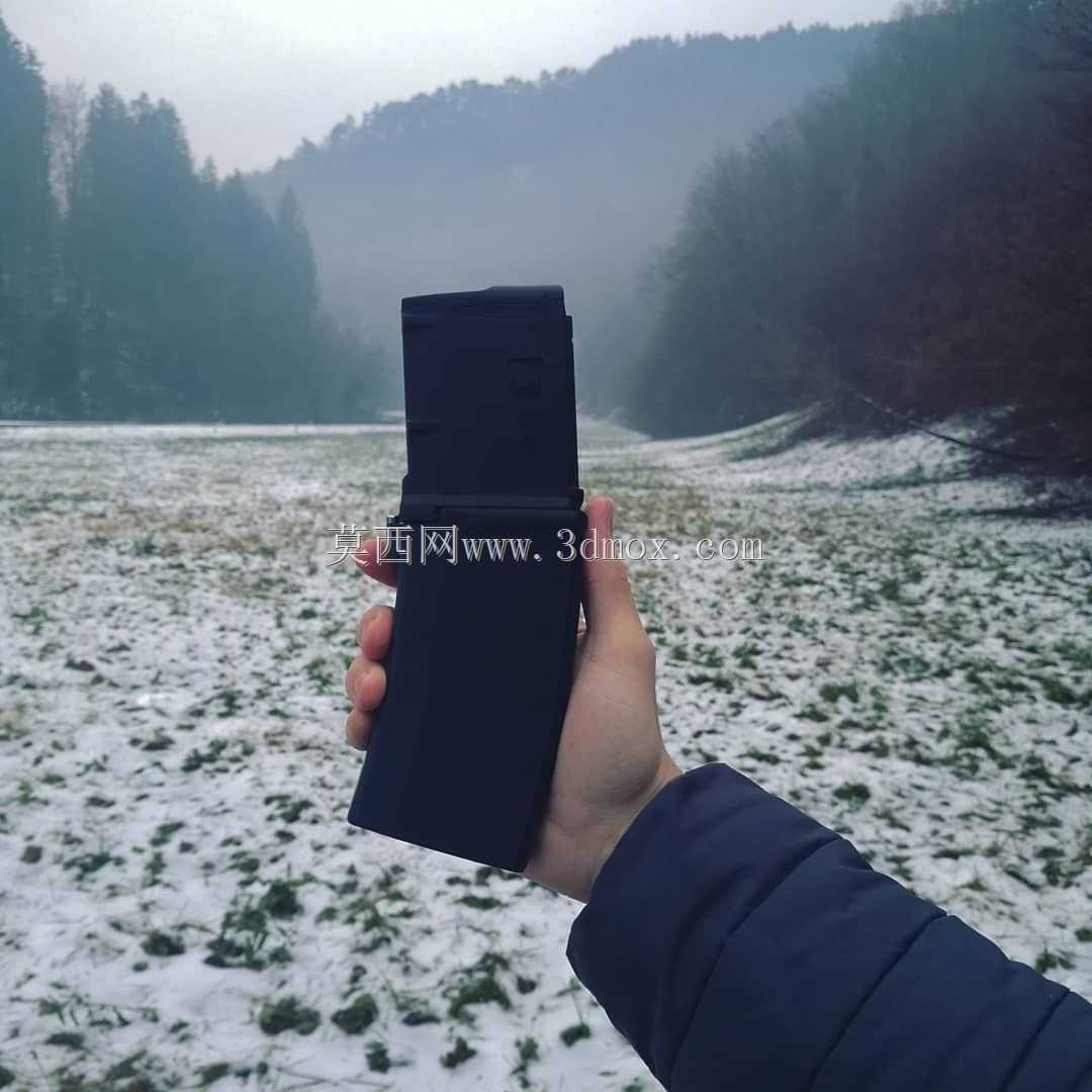 +25_Pmag_��չ