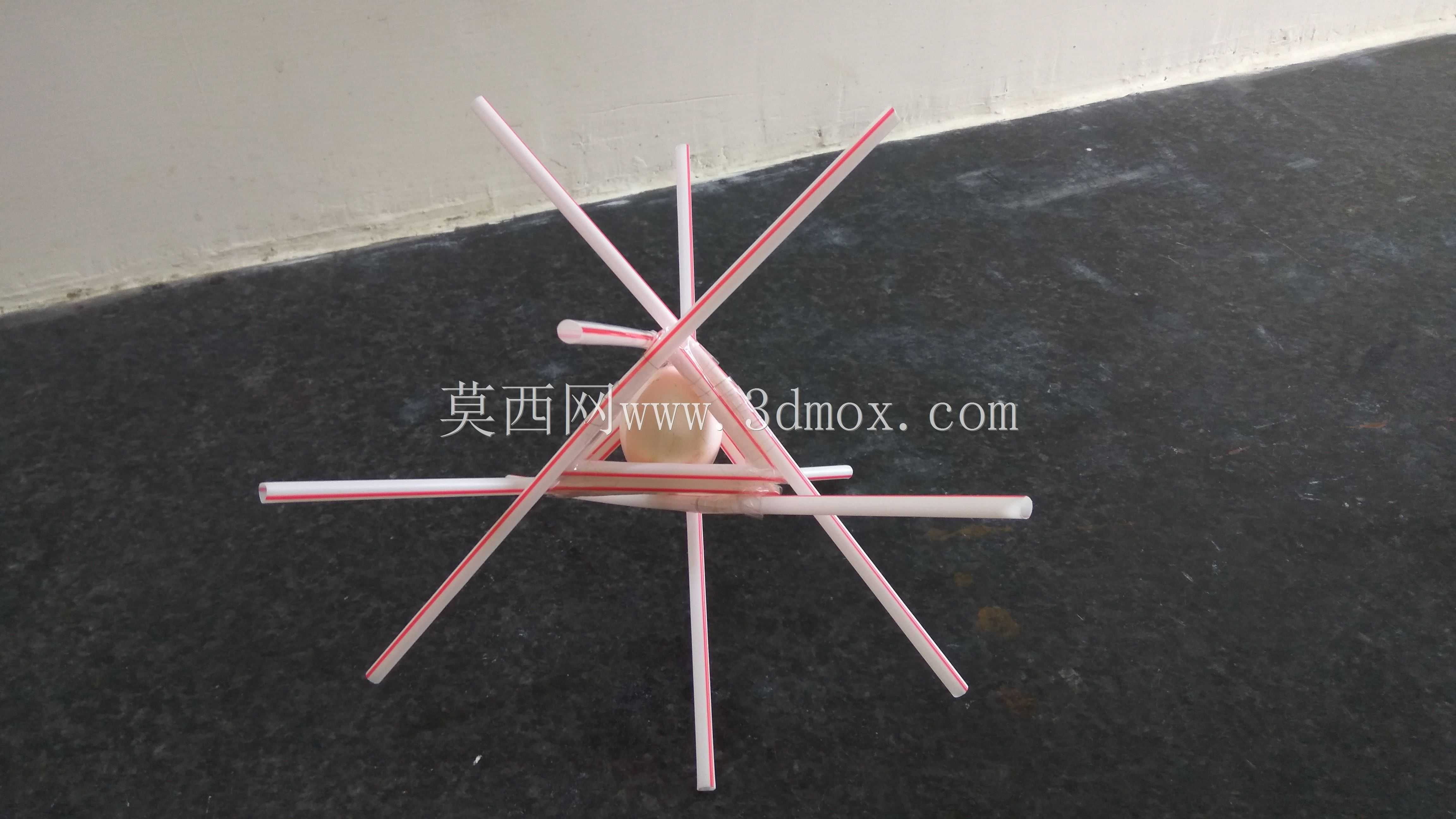护蛋器