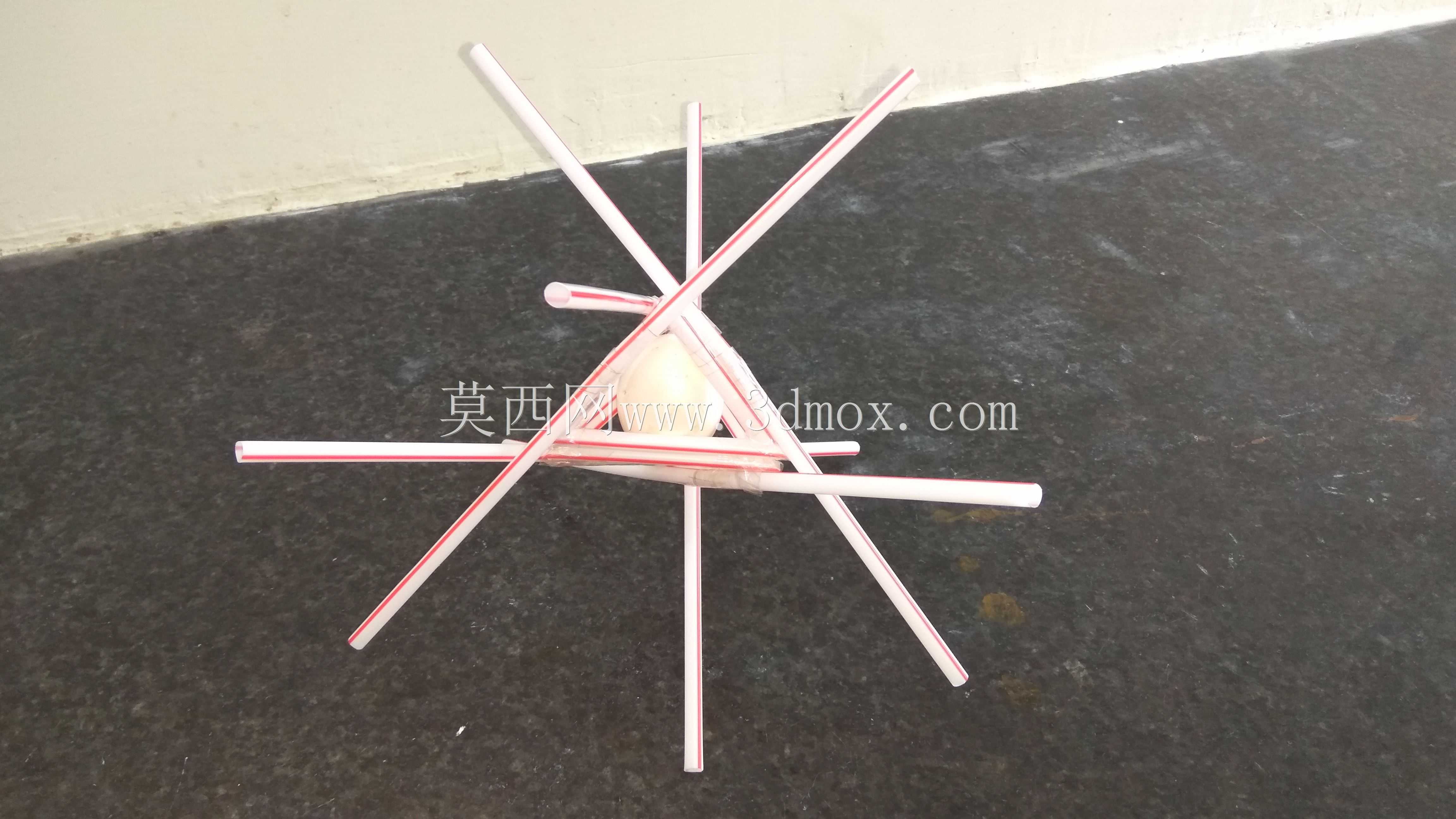 护蛋器