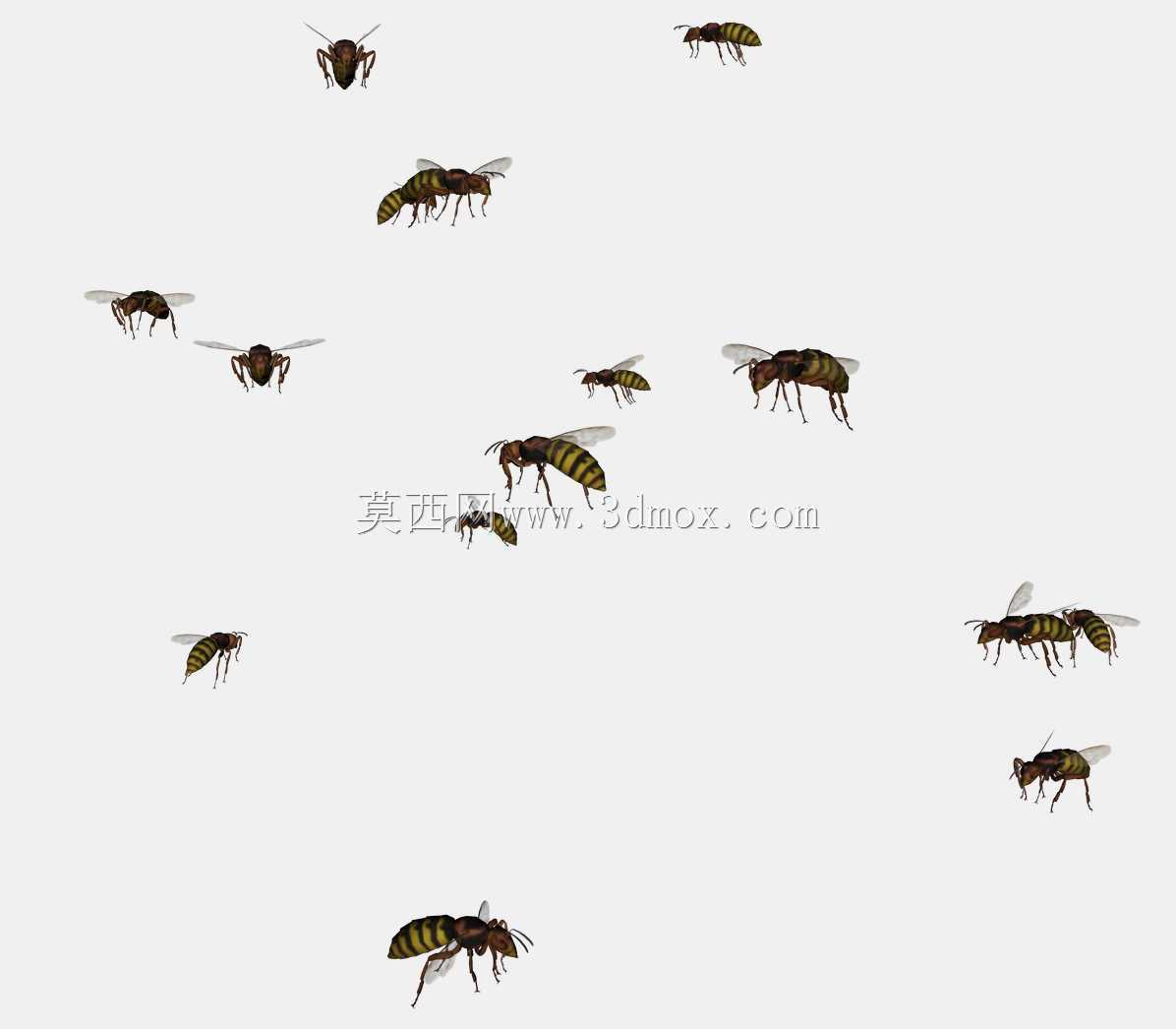 �Ʒ�