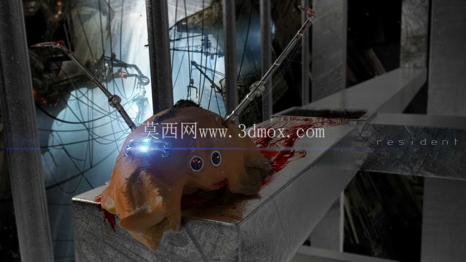 ����