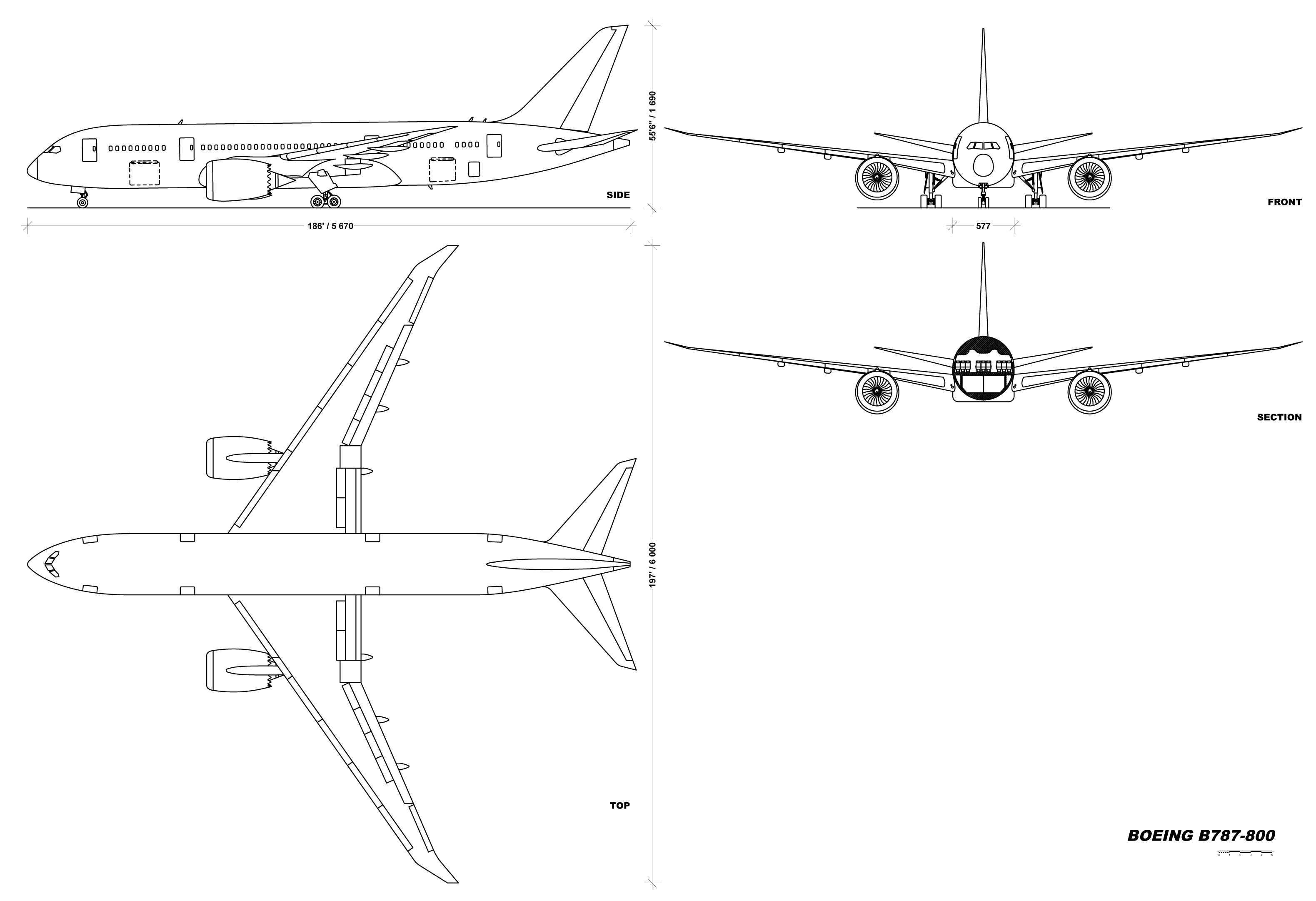 787�λÿͻ�